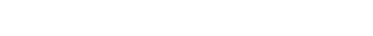 Dutch IT Channel